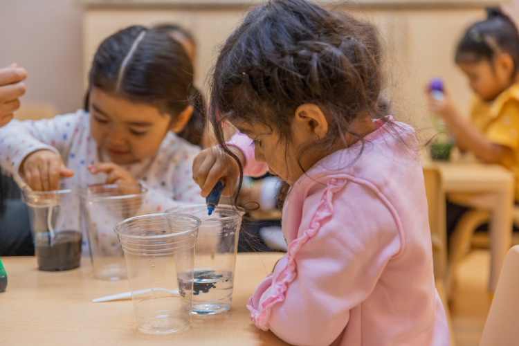 Girls experimenting with food coloring in water
